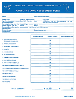 Preview of Objective Long ILS Assessment form